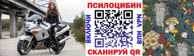 Псилоцибиновые грибы мицелий купить наркоту блэк спрут онион Выборг