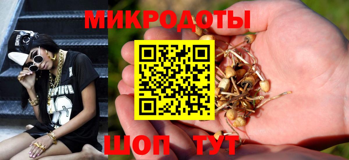 Псилоцибиновые грибы MAGIC MUSHROOMS  Псилоцибиновые грибы Psilocybe  Вход с VPN  Выборг 